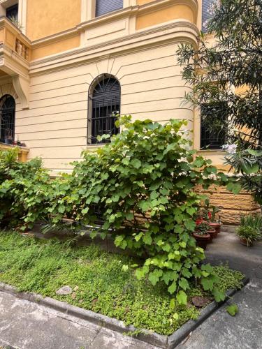 Casa Vacanze Villa Barberina, Rzym (zdjęcie 5)