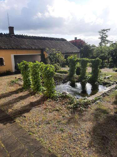 Strandhgårdens BBB rum 1 (Strandhgardens BBB rum 1) in 예거스로 빌라스타드