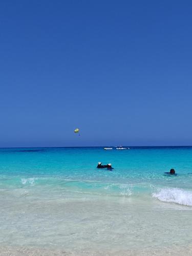 مصيف مارينا الشاطئ الأزرق, Marsa Matruh (foto 5)