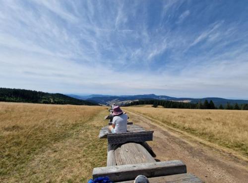 Bergloft, Todtnau (Foto 3)