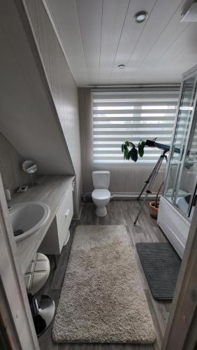 Private house in Kristiine, Tallin (foto 6)