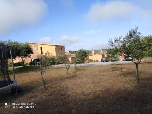 Quinta Damigo