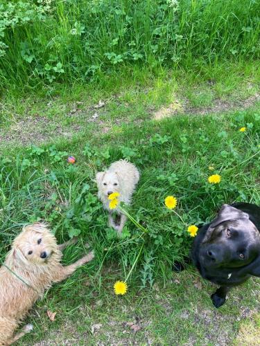 Ferienwohnung Art Land in Hopsten
