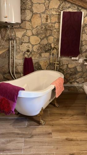 Masiadenjust in Montblanc