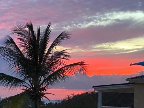 Sunsets & Views, Saint Johnʼs