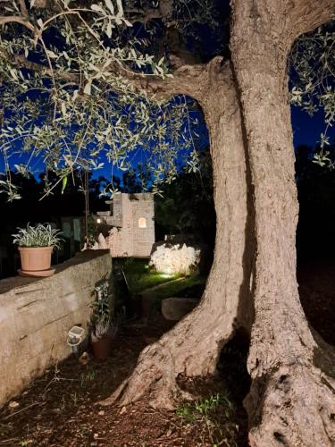 Trulli: La pace dei sensi 4