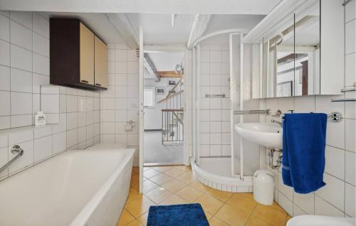 Elbferienhaus Altlaubegast, Drážďany (fotografie 2)