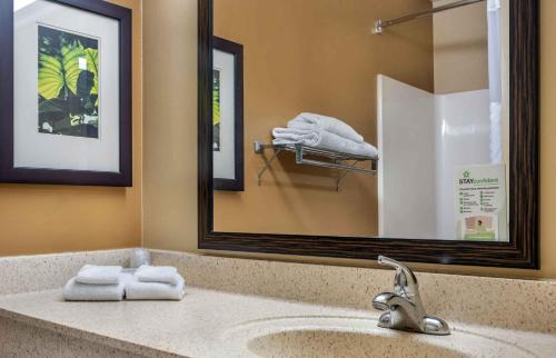 One Bedroom Suite - Non-Smoking