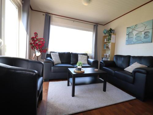 Chalet in Friesland near Wadden Sea & Franeker, Tzummarum (photo 3)
