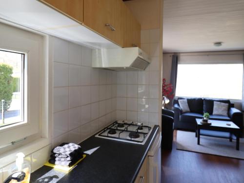 Chalet in Friesland near Wadden Sea & Franeker, Tzummarum (photo 6)