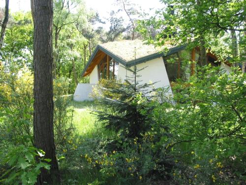 Modern Lakeside Escape, Herpen