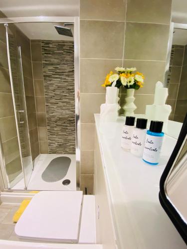 Brighton Central 1 Bed Nr Beach, Brighton and Hove (zdjęcie 9)