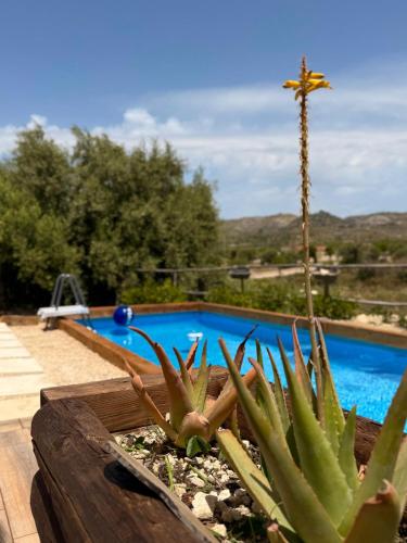 Two-Bedroom Villa image 10