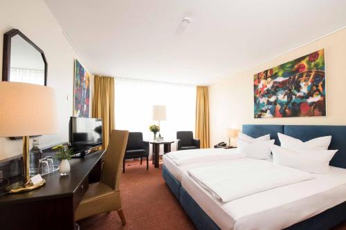 Standard Double Room partly with Basel or Mountain View