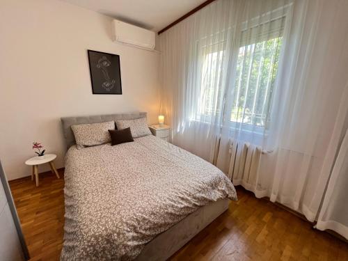 Giza Cozy 1BDR w WiFi near Arena 8888 and SofiaMed, Sofia (Foto 2)