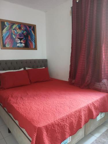 Quarto privativo - image 5