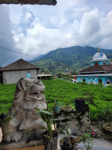 View, Ayem Tentrem Homestay in Samiran