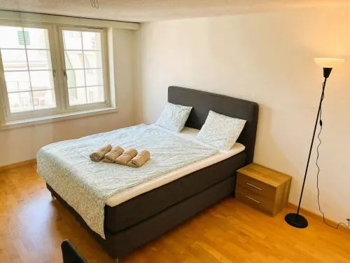 New Cozy 2 room Apartment in Zurich Old Town Center RENN - Self Checkin in Zürich, Schweiz
