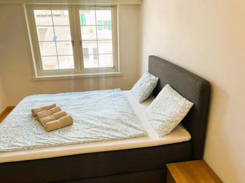 New Cozy 2 room Apartment in Zurich Old Town Center RENN - Self Checkin, Zurigo (foto 3)