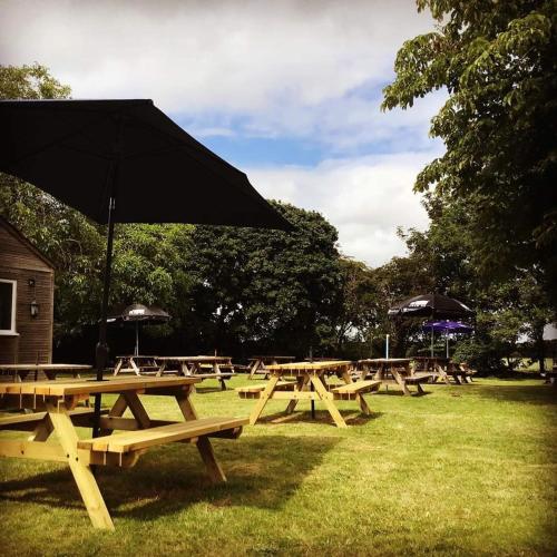 Five Bells Wickham - image 6