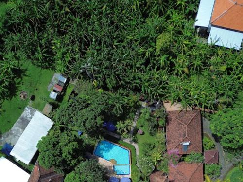 Balinda Rooms & Villa – Lovina Beach, CO