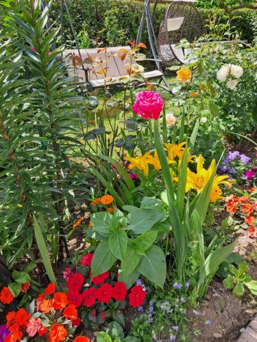 Casa Vacanze Kristina