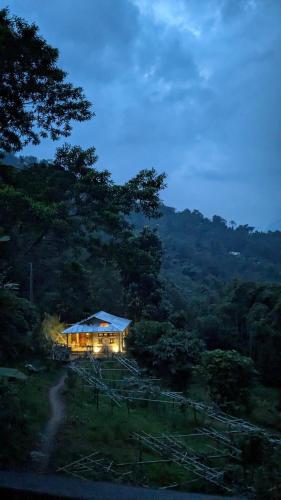 The Art Of Slow living- An Earth Home in Kaluka