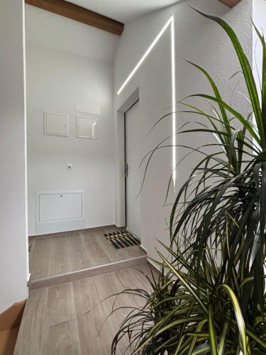 Studio Alma in Auvernier