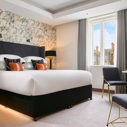 Deluxe King Room image 2