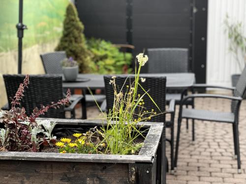 Létesítmények, Feel Good Zimmer & Appartements in Gernsheim