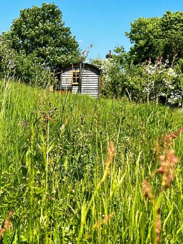 Alrededores, Woodpecker Hill - Shepherds Hut Alfriston in Alfriston