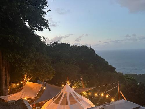 Casita Orquidea in 西夏洛特阿馬利亞