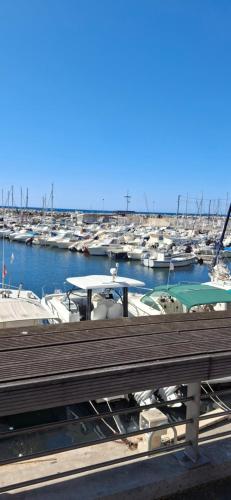 Amélia, Marseille