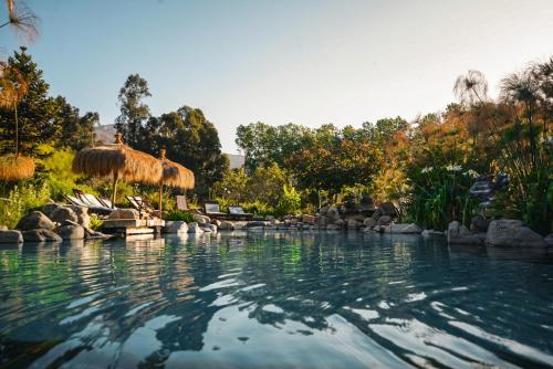 Úszómedence, Hotel Boutique Refugio El Molle in Vicuna