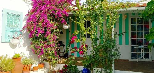 Casa con piscina cerca de Sevilla in Huevar Del Aljarafe