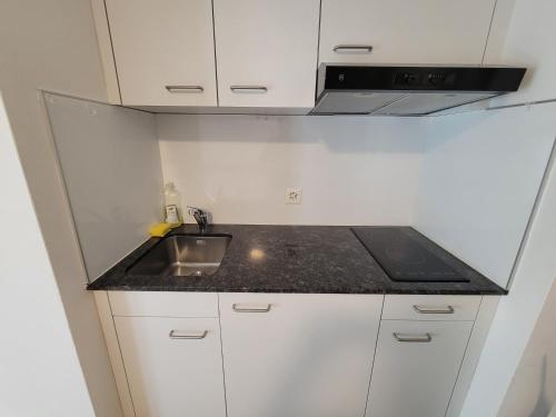 City Center Zurich Downtown Apartments next to Zurich HB Main Train Station NEU - Self Checkin in Zürich