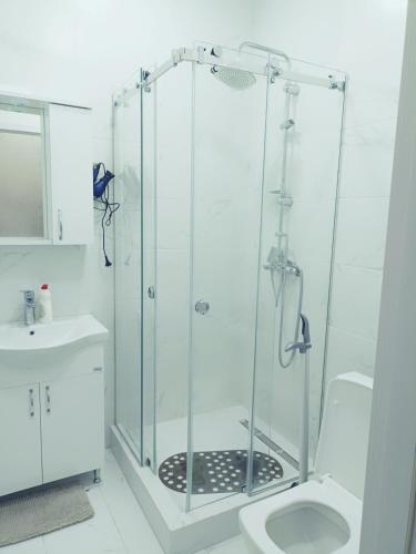 საუკეთესო არჩევანი თქვენსხელშია in Sareki