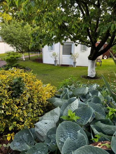 A szálláshely kívülről, Melissa in Itzehoe