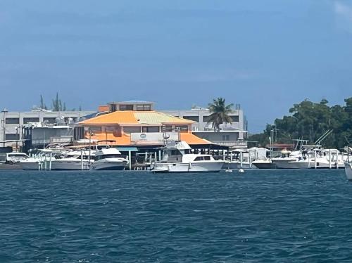 . Hotel Vista Bahia & Marina