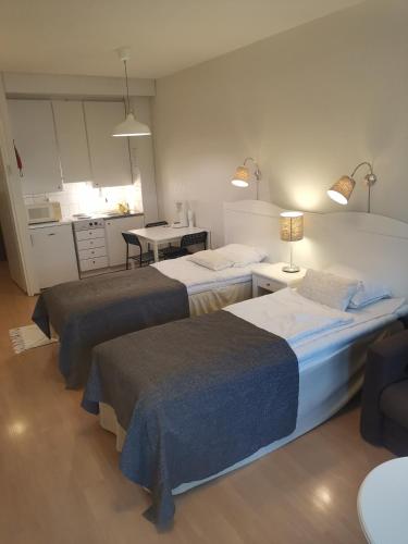 Yksio kauniilla jarvinakymalla Ikaalisissa in Ikaalinen