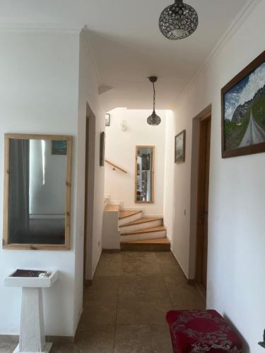 OK Sakhli VIP in Shekvetili