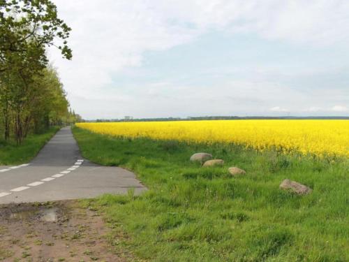 Wohnung in Kr pelin nahe Ostsee, Kröpelin (zdjęcie 9)