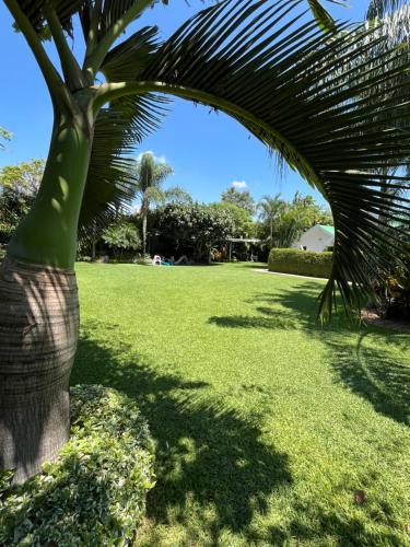 Hotel boutique LA FLOR · Mango