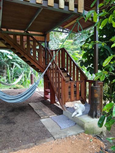 Nido de Vida in San Miguel de Los Bancos