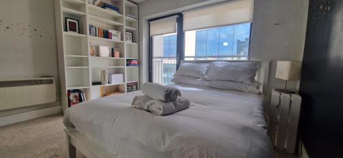Spacious City Centre Apartment, Dublin (fotografie 6)