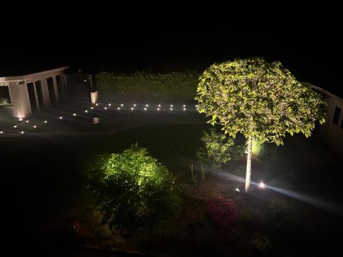 ทัศนียภาพ, FeWo Track n Chill in วินฮาเกน