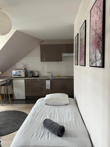Appartement Strasbourg Centre, Strasbourg (photo 2)
