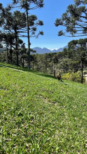 Pousada Reserva Verde in 誇特巴拉斯