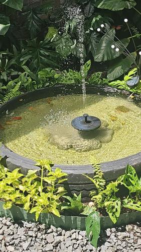 A Piece of Sun in Токумен