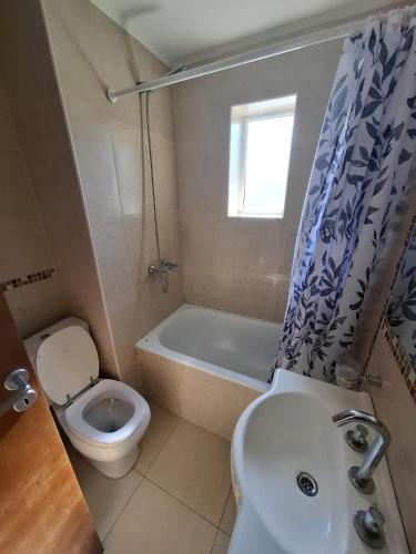 One-Bedroom Apartment image 6